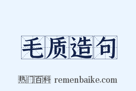 毛质造句是什么意思的图片